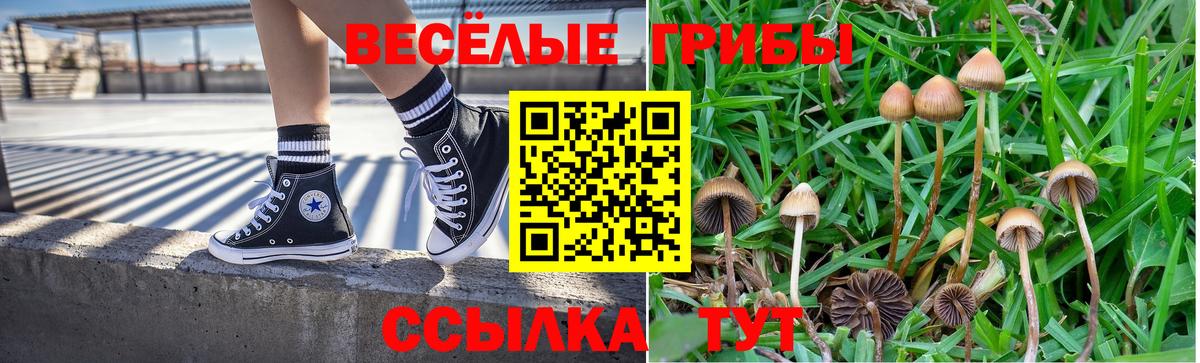 Псилоцибиновые грибы Cubensis Каменск-Шахтинский