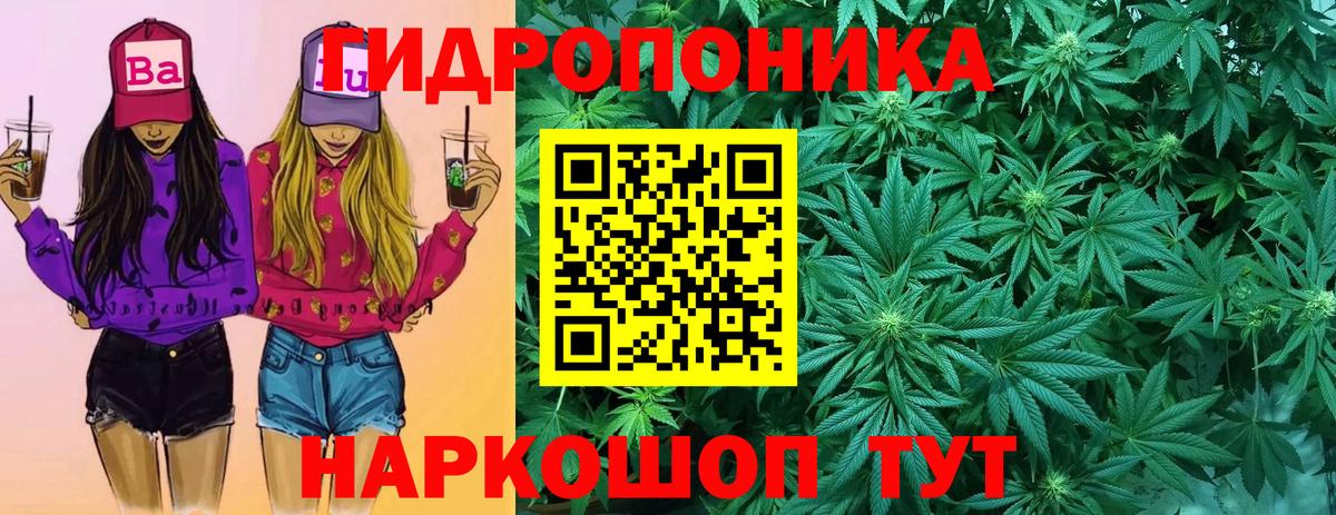 Бошки марихуана ГИДРОПОН  Бошки Шишки план  Каменск-Шахтинский  Бошки марихуана Bruce Banner  Конопля White Widow  Вход с VPN 